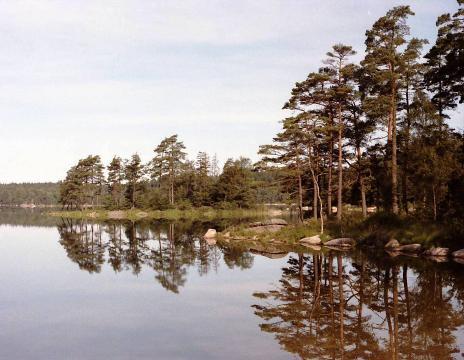 Bild sjö